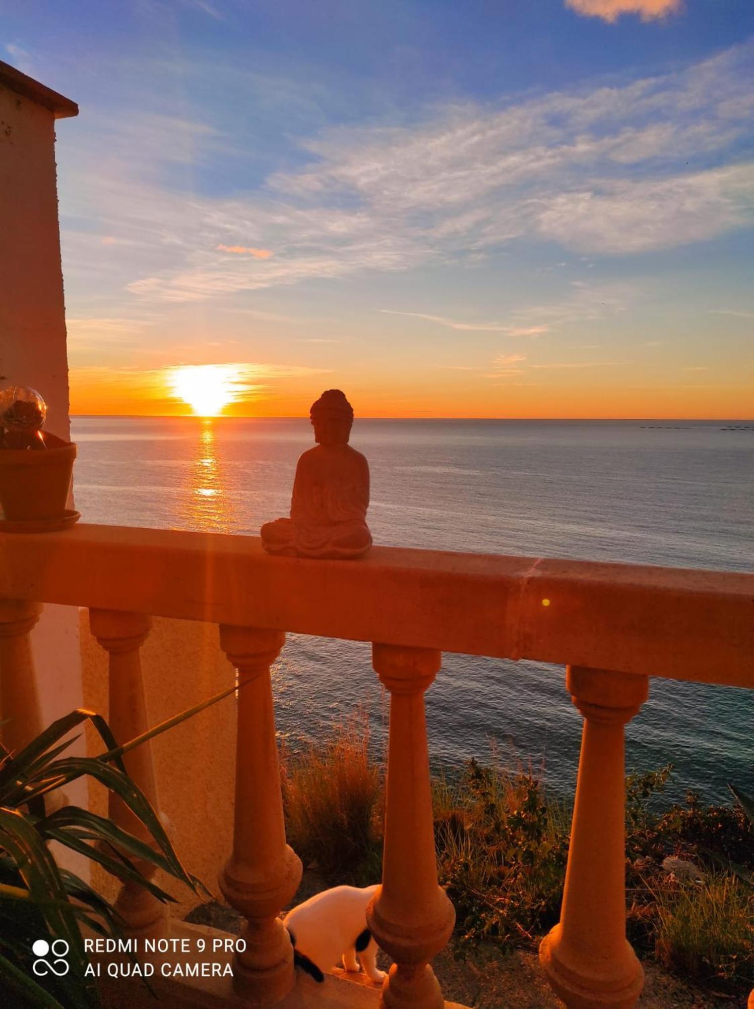 L'aunisa El Campello